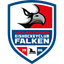 Heilbronner Falken